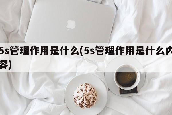 5s管理作用是什么(5s管理作用是什么内容)