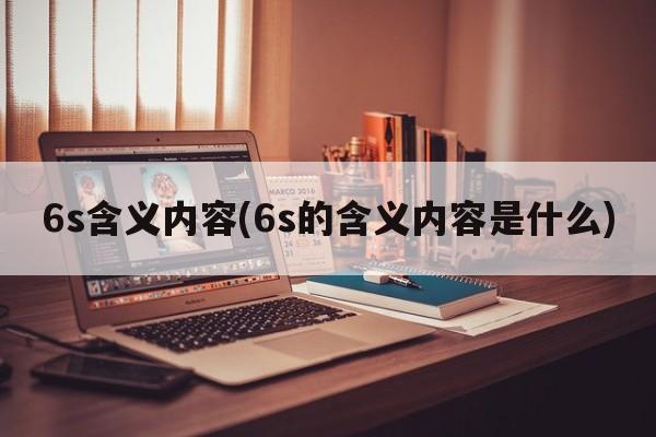 6s含义内容(6s的含义内容是什么)